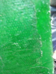 foto groene jade