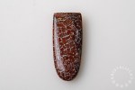 H-FOS-10-1s_cabochon_fossiel_dino_bot