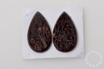 H-FOS-18-1s_cabochon_fossiel_briolet_dino_bot_paartje
